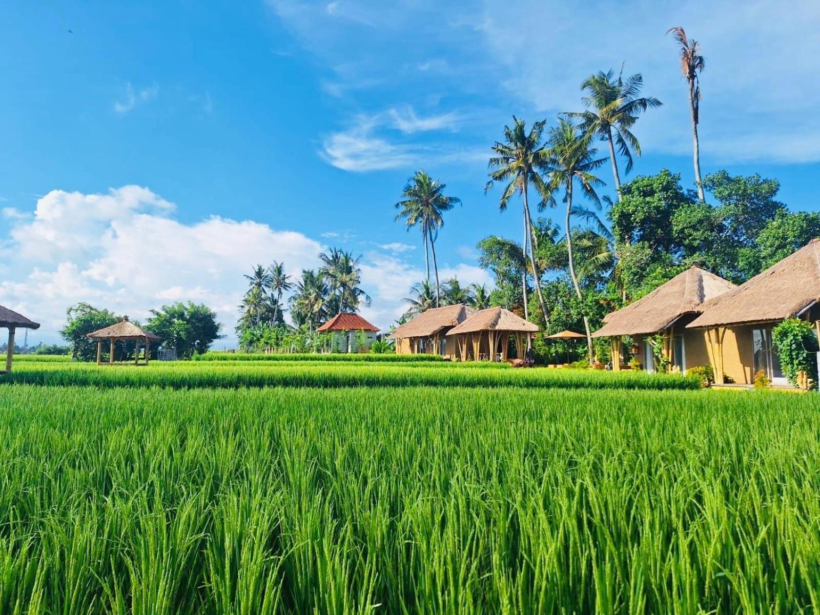 Rumah Kita Ecolodge Ubud Kültér fotó