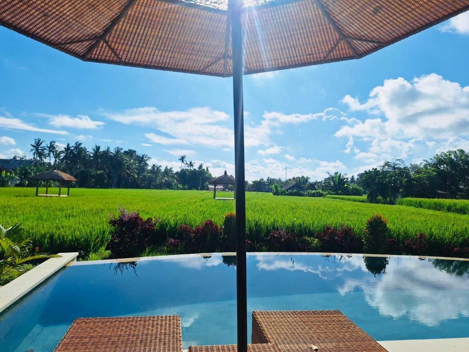 Rumah Kita Ecolodge Ubud Kültér fotó