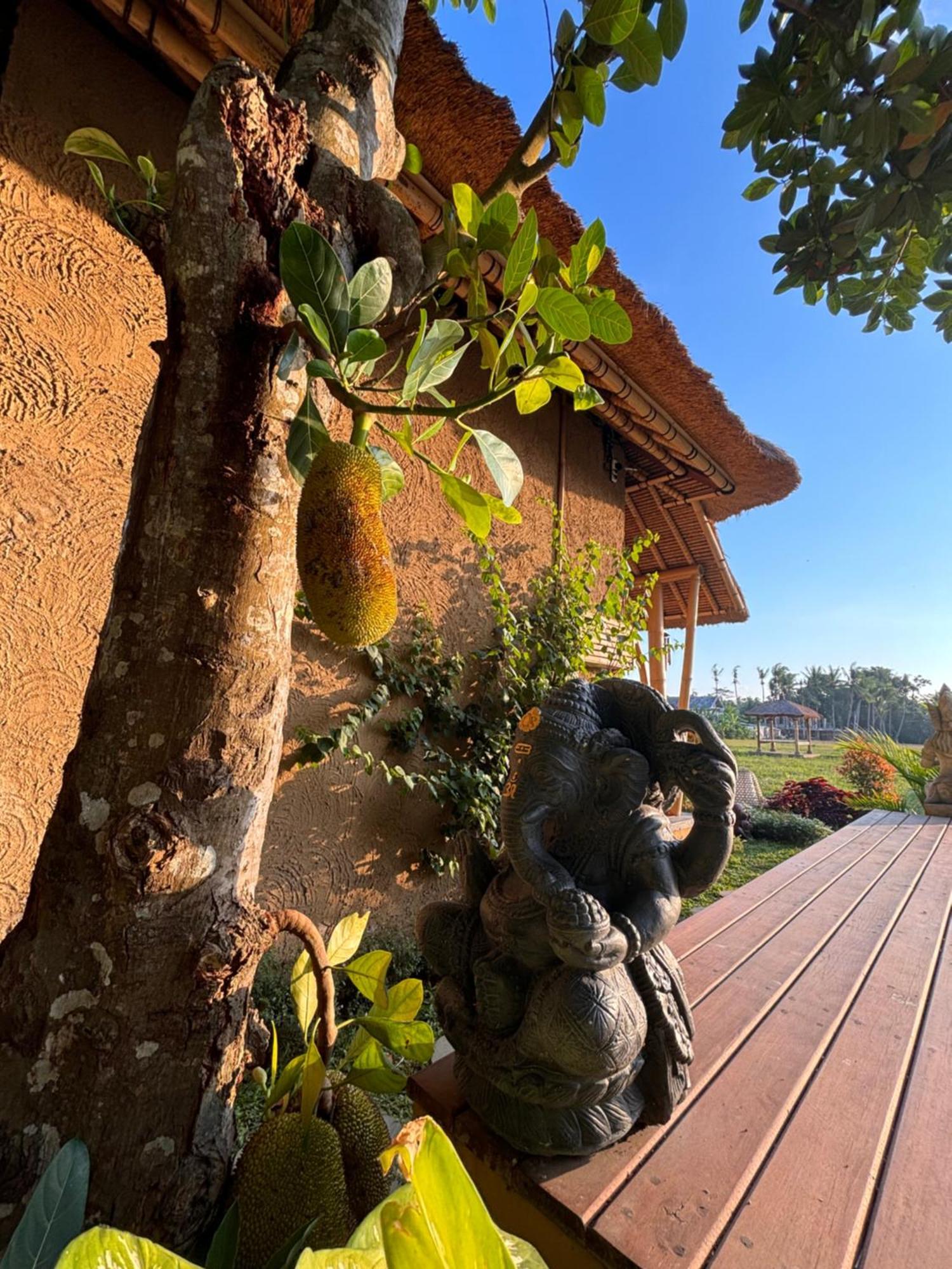 Rumah Kita Ecolodge Ubud Kültér fotó