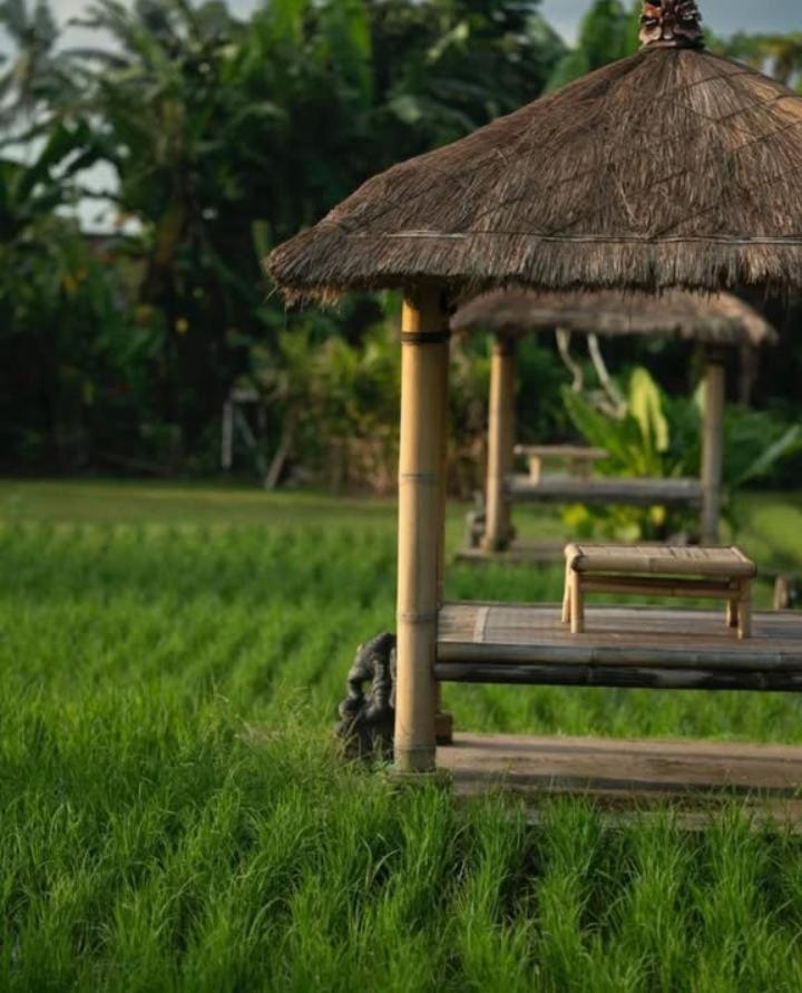 Rumah Kita Ecolodge Ubud Kültér fotó
